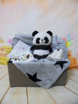 Baby gift box Panda